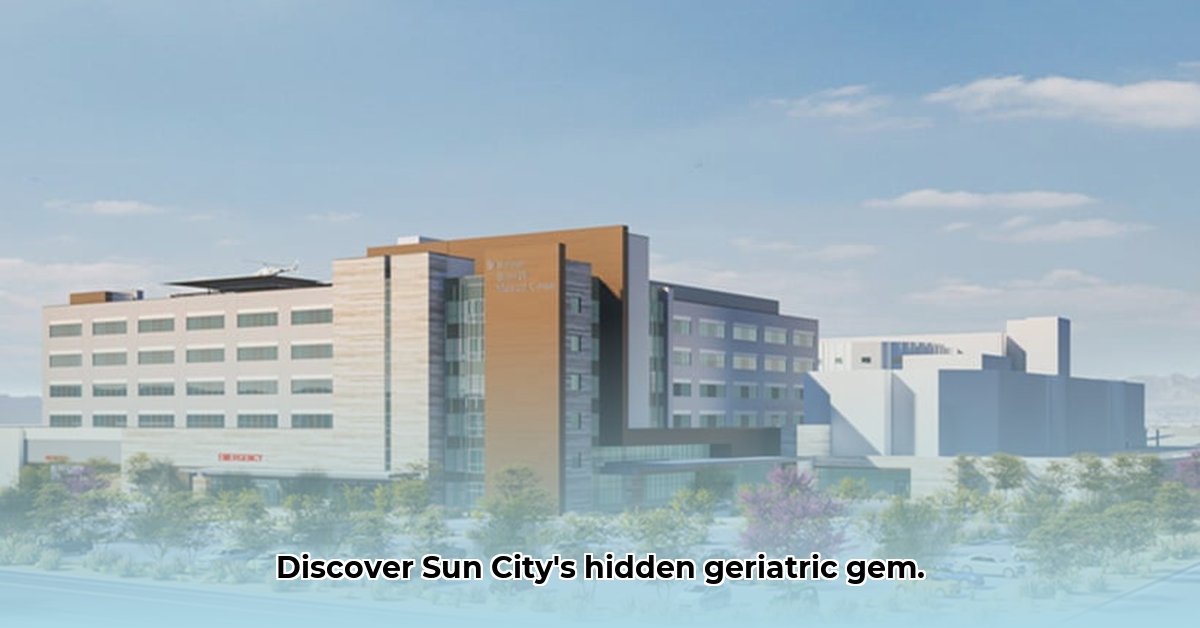 10401-w-thunderbird-blvd-sun-city-az